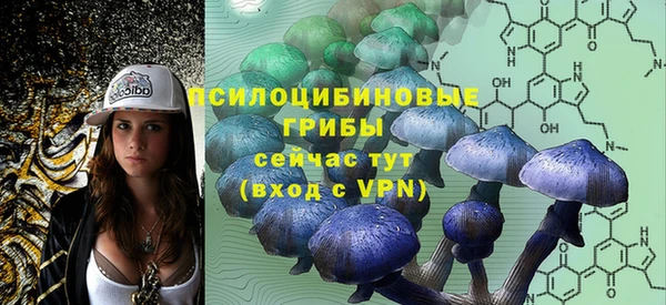 ешки Верея